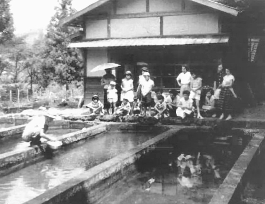 昭和11年の創業当時、池のまわりに人が集まる神坂養魚場