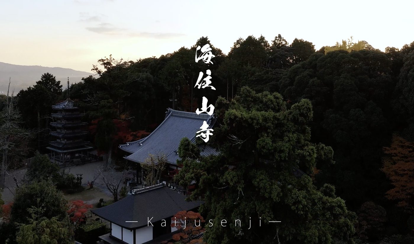 観光施設